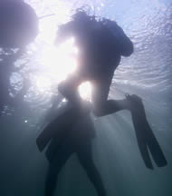 Open Water Tauchunterricht